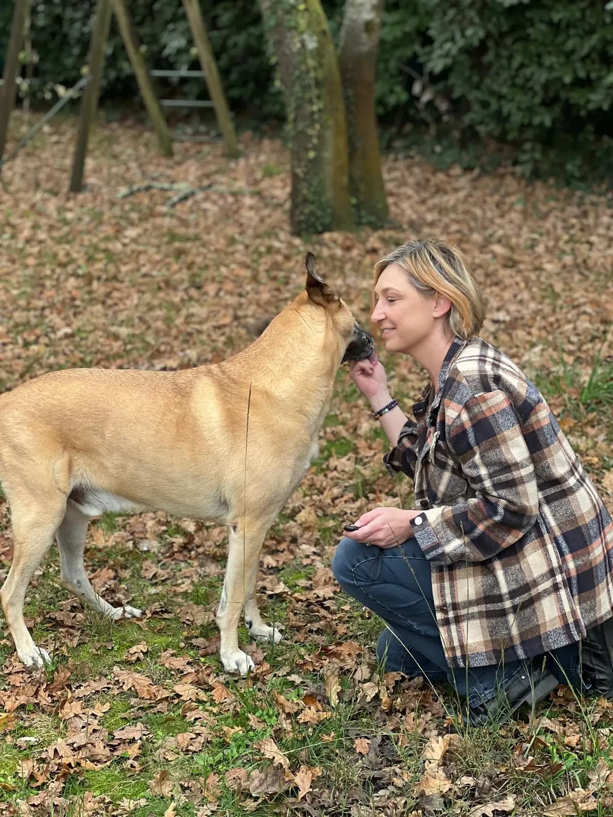 Pat'tâte - Soins énergétiques pour chiens et chats